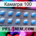 Камагра 100 viagra3